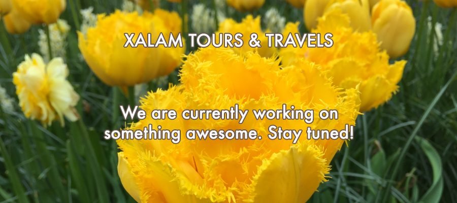 xalam-construction-01