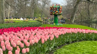 Sorprendentes Jardines De Tulipanes De Keukenhof