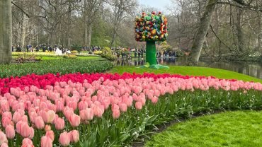 Sorprendentes Jardines De Tulipanes De Keukenhof