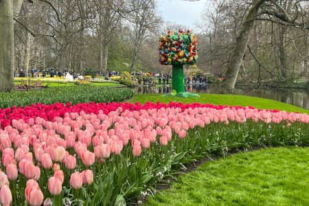 Sorprendentes Jardines De Tulipanes De Keukenhof