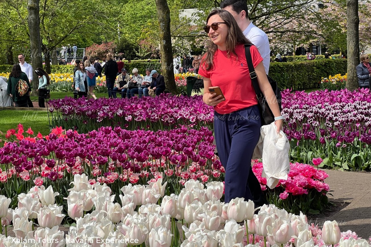 Bloemenbelevenis (Keukenhof - Bloemenvelden - Tulpenbelevenis Amsterdam)