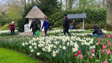 Was Wird Mit Dem Keukenhof 2024 Geschehen?