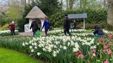 Wat Gebeurt Er Met Keukenhof 2024?