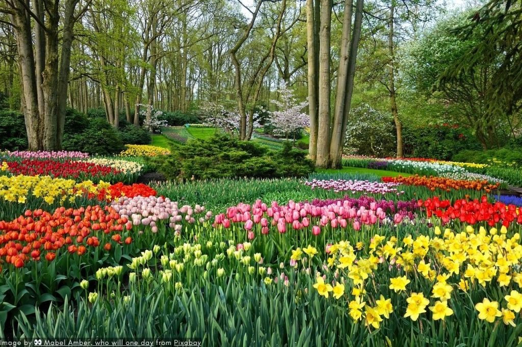 Tur &Amp; Tiket Keukenhof 2024 | Pengalaman Terbaik! 4 He Lashrom Blog Post Images 1280 853 03