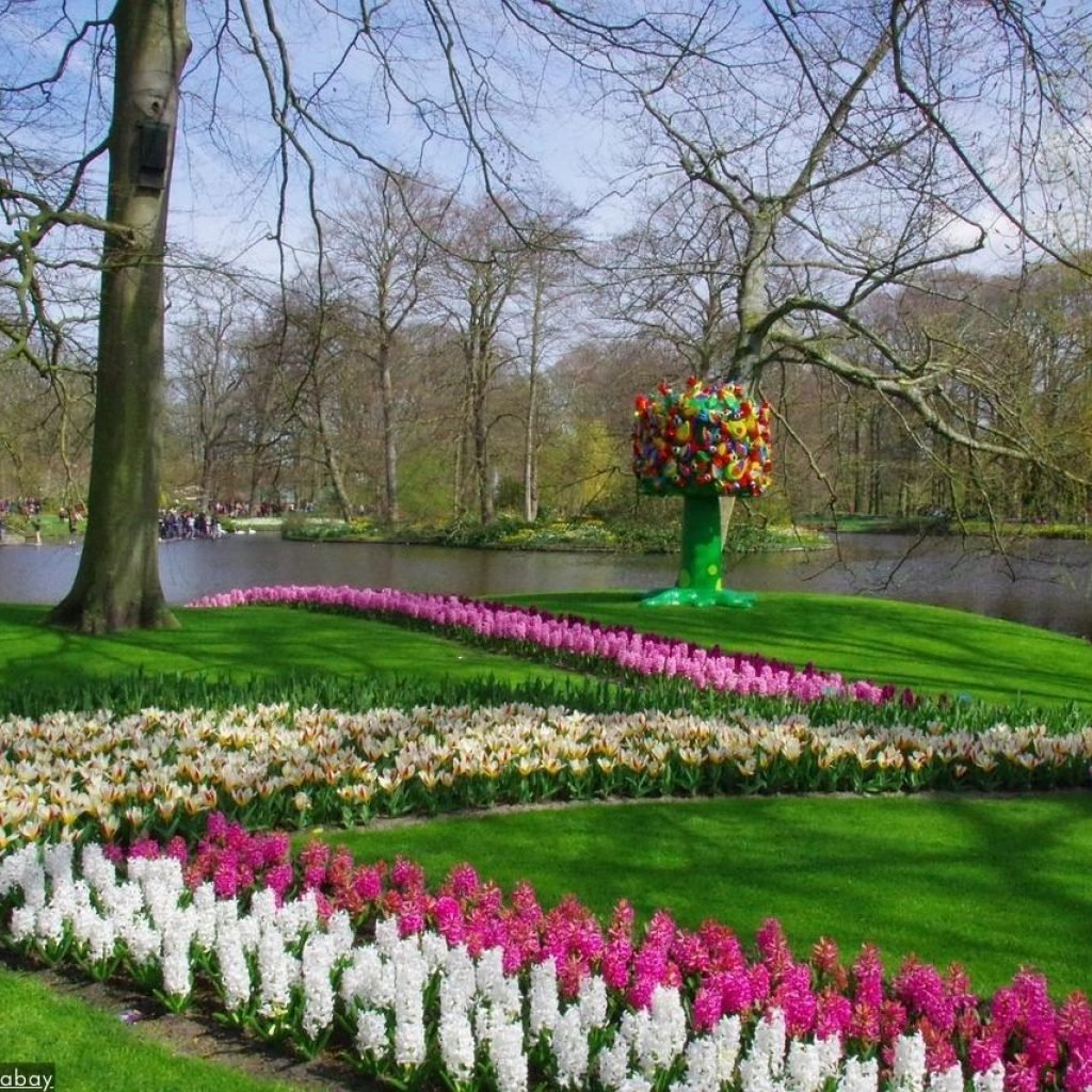 De Charme Van Keukenhof 2024