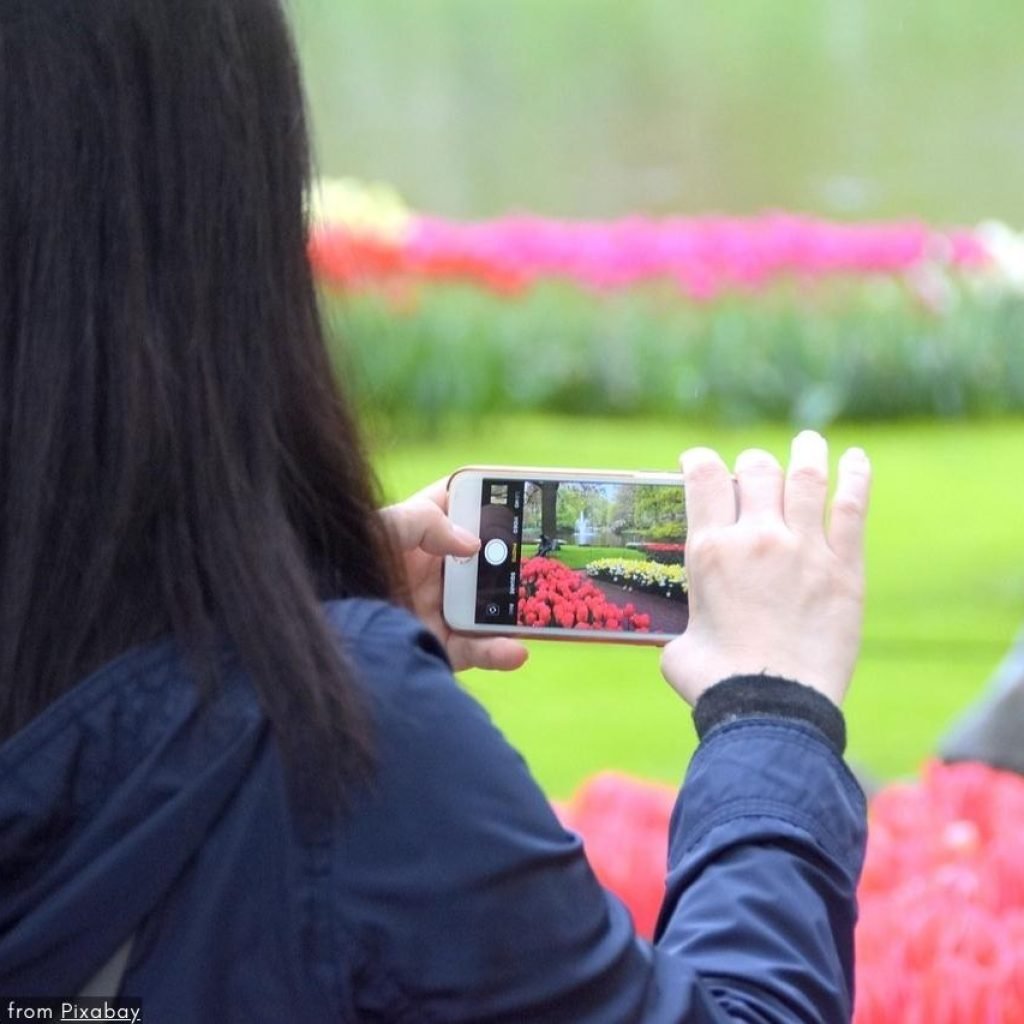 De charme van Keukenhof 2024