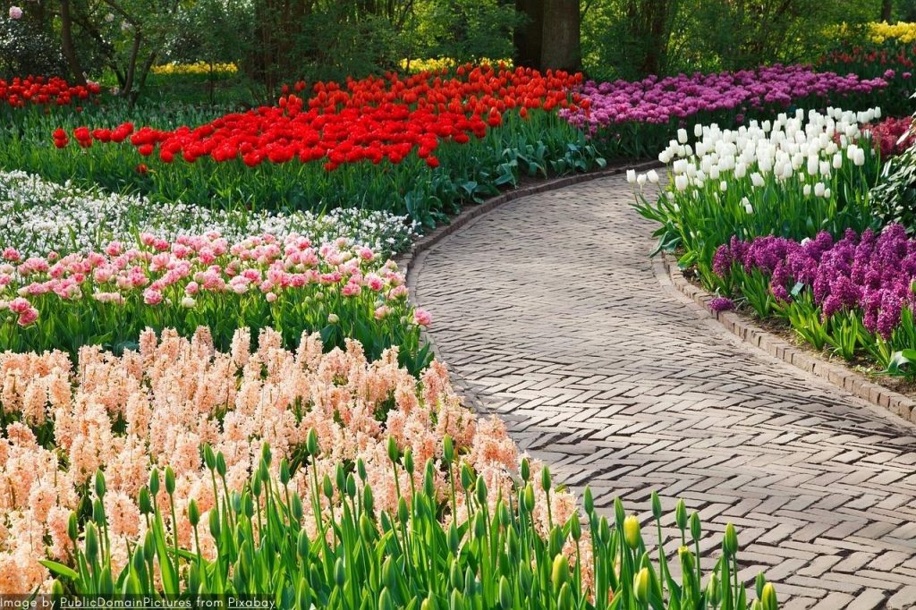Tur Pribadi Keukenhof 2024 Terbaik - Taman Tulip Belanda