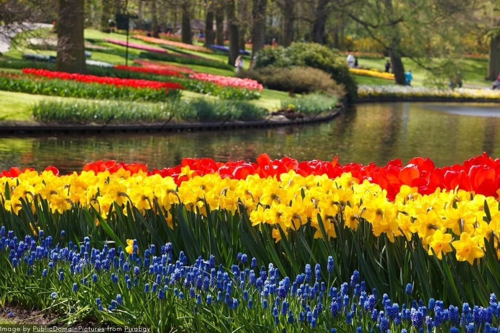 Best Keukenhof 2024 Private Tour | Die Niederländischen Tulpengärten 2 Best Keukenhof 2024 Private Tour - Die Niederländischen Tulpengärten