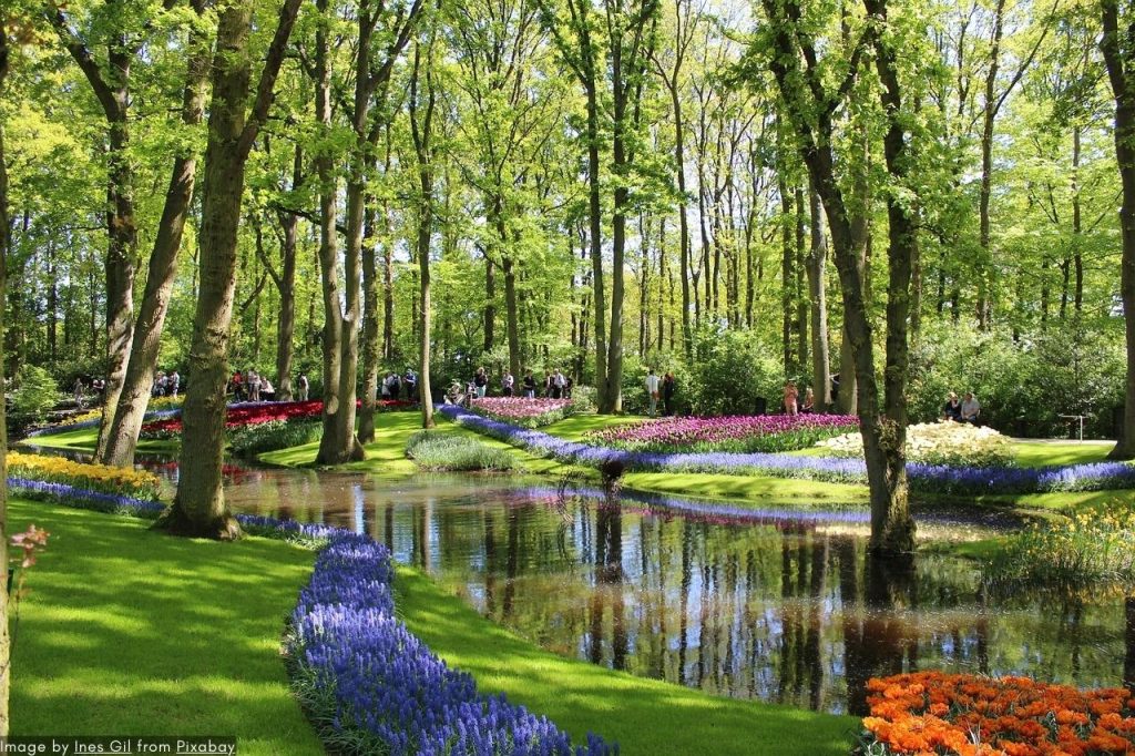 Melhor Excursão Privada A Keukenhof 2024 - Os Jardins De Tulipas Holandeses