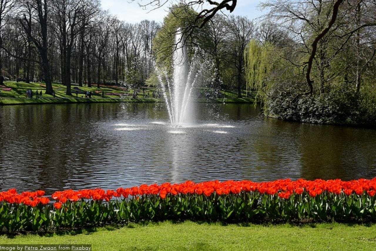 Skip-The-Line Keukenhof Tours &Amp; Tickets 4 He Lashrom Blog Post Images 1280X853 51