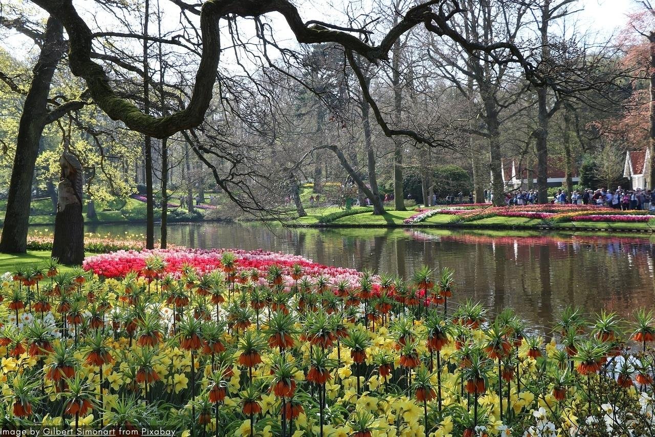 Skip-The-Line Keukenhof Tours &Amp; Tickets 3 He Lashrom Blog Post Images 1280X853 53