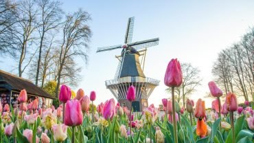 Skip-The-Line Keukenhof Tours &Amp; Tickets - Holland Experience